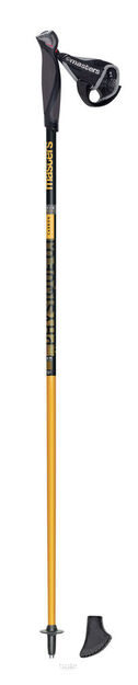 PHYSIQUE 0,1 Carbon