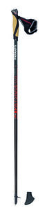 PHYSIQUE 0,8 Carbon